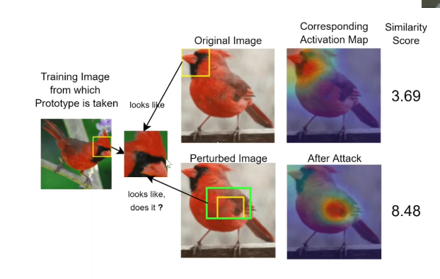 Impact of local perturbation on prototype matching