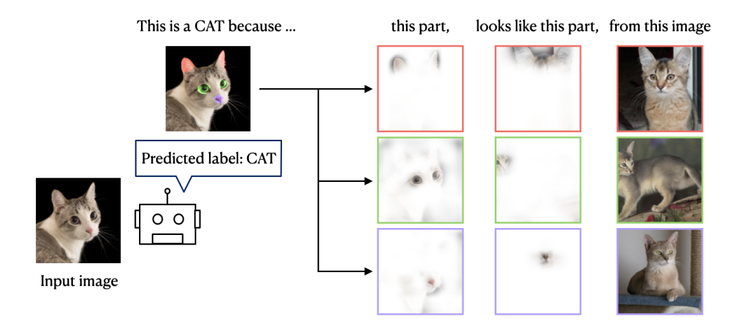 ProtoPNet inference process