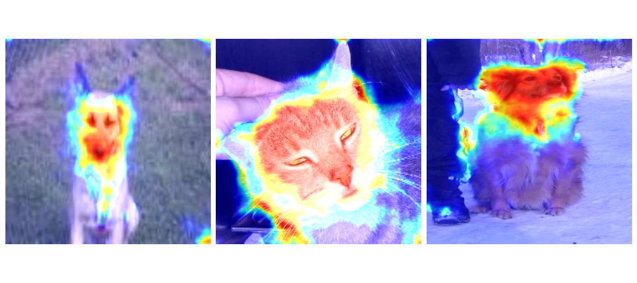Grad-CAM visualized
