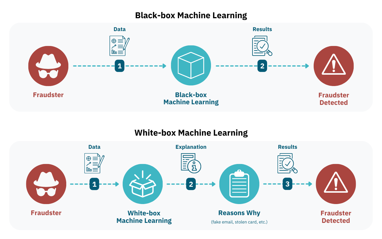 Black-Box vs White-Box Models